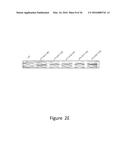 Increasing the Content of Long Chain Fatty Acids in Seed Oil diagram and image