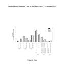 Increasing the Content of Long Chain Fatty Acids in Seed Oil diagram and image