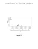 Increasing the Content of Long Chain Fatty Acids in Seed Oil diagram and image