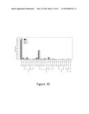 Increasing the Content of Long Chain Fatty Acids in Seed Oil diagram and image