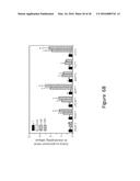 Increasing the Content of Long Chain Fatty Acids in Seed Oil diagram and image