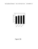 Increasing the Content of Long Chain Fatty Acids in Seed Oil diagram and image