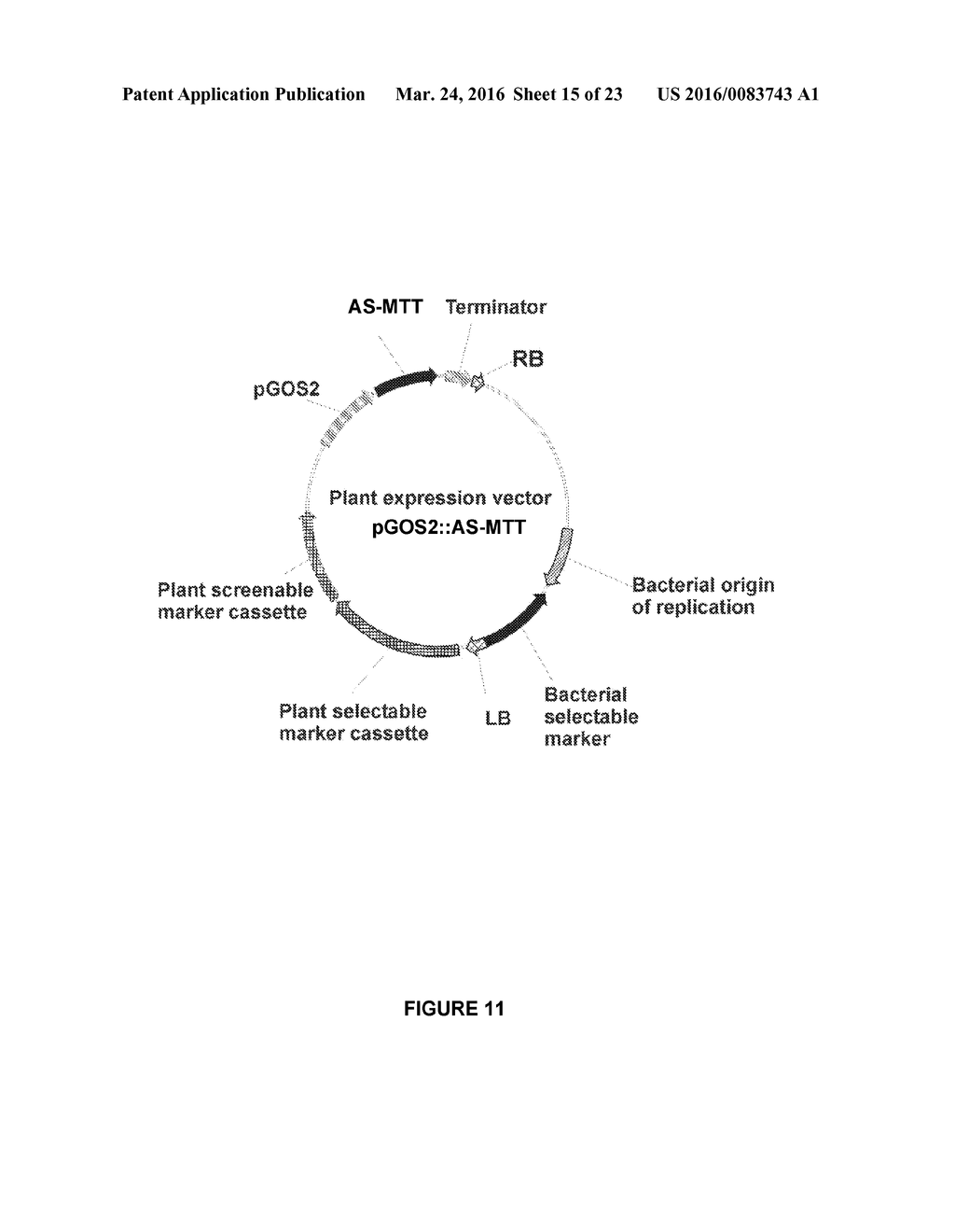 PLANTS HAVING ENHANCED YIELD-RELATED TRAITS AND A METHOD FOR MAKING THE     SAME - diagram, schematic, and image 16