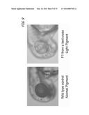 METHODS AND COMPOSITIONS FOR TARGETED GENE MODIFICATION diagram and image