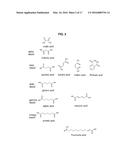 PROCESSING BIOMASS diagram and image