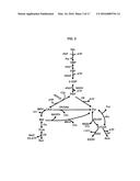 PROCESSING BIOMASS diagram and image