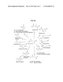 PROCESSING BIOMASS diagram and image