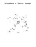 PROCESSING BIOMASS diagram and image