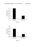 CLOSTRIDIUM CADAVERIS STRAIN AND USES OF THE SAME diagram and image