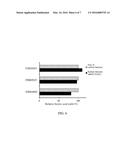 CLOSTRIDIUM CADAVERIS STRAIN AND USES OF THE SAME diagram and image