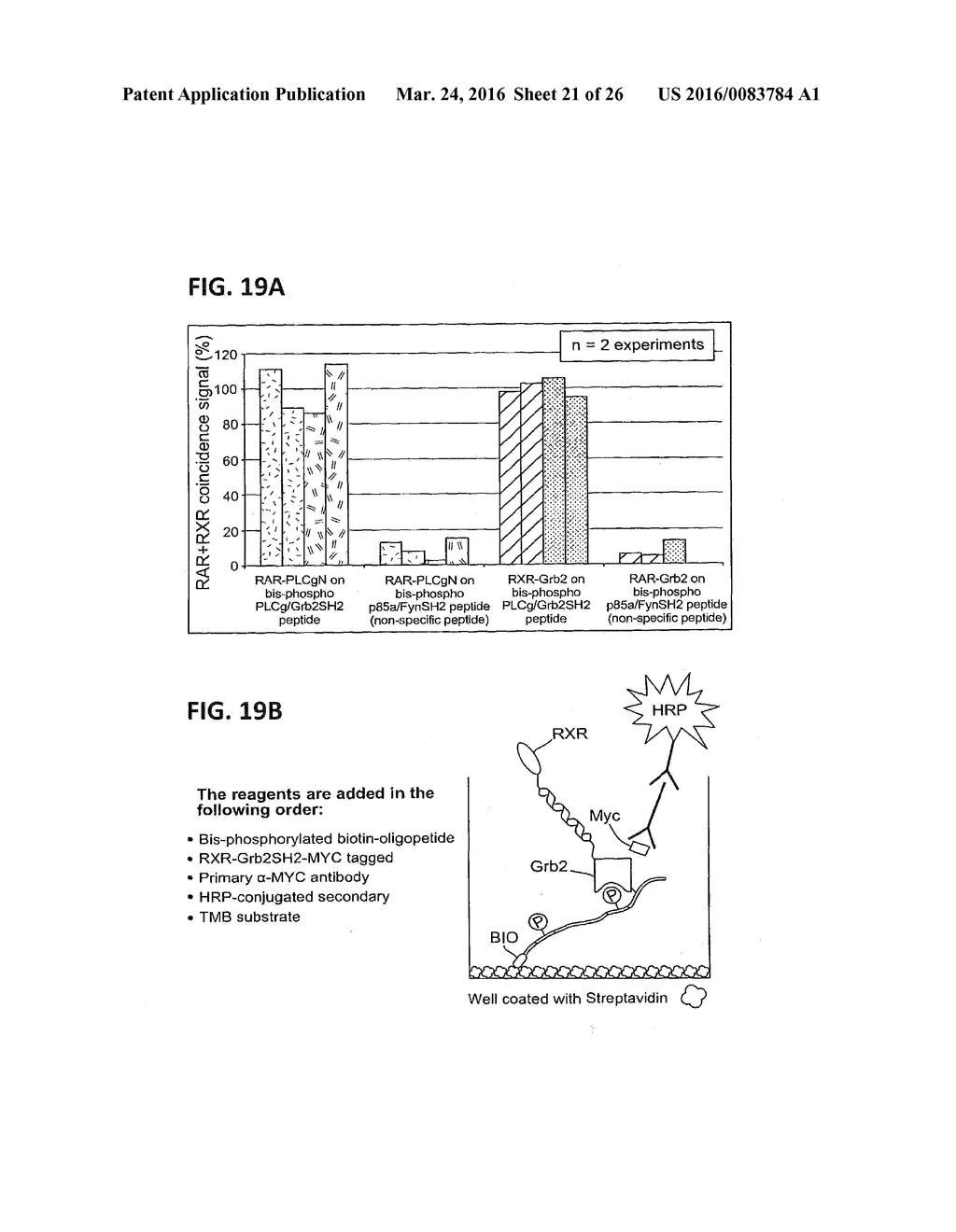 COINCIDENCE DETECTION - diagram, schematic, and image 22