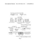 IN SITU INTERACTION DETERMINATION diagram and image