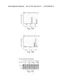 IN SITU INTERACTION DETERMINATION diagram and image