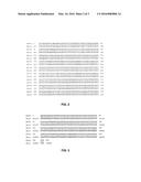 SEQUENCE SPECIFIC PRIMER POOL FOR MULTIPLEX PCR AND METHOD OF DETECTING     MICROBIAL INFECTIONS IN THALASSEMIA PATIENTS diagram and image