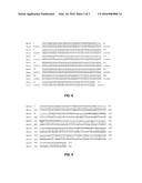 SEQUENCE SPECIFIC PRIMER POOL FOR MULTIPLEX PCR AND METHOD OF DETECTING     MICROBIAL INFECTIONS IN THALASSEMIA PATIENTS diagram and image