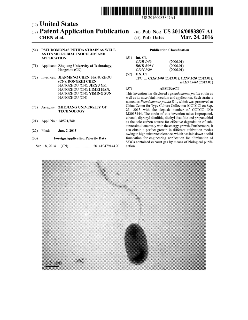 PSEUDOMONAS PUTIDA STRAIN AS WELL AS ITS MICROBIAL INOCULUM AND     APPLICATION - diagram, schematic, and image 01