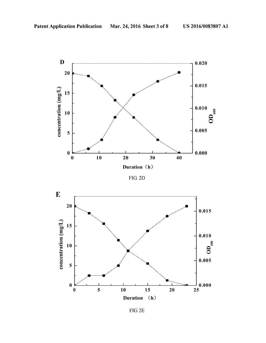 PSEUDOMONAS PUTIDA STRAIN AS WELL AS ITS MICROBIAL INOCULUM AND     APPLICATION - diagram, schematic, and image 04