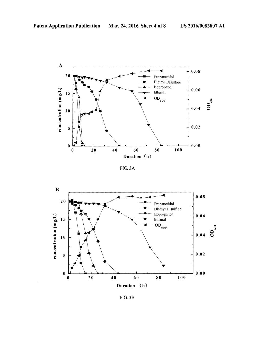 PSEUDOMONAS PUTIDA STRAIN AS WELL AS ITS MICROBIAL INOCULUM AND     APPLICATION - diagram, schematic, and image 05