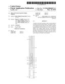 Pipe Conveyed Logging While Fishing diagram and image