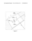 RAMAN SPECTROSCOPIC DETECTION DEVICE diagram and image