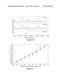 RAMAN SPECTROSCOPIC DETECTION DEVICE diagram and image