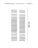 STABILIZED LOW AFFINITY CONFORMATION OF INTEGRINS FOR DRUG DISCOVERY diagram and image