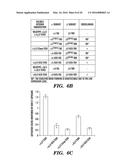 STABILIZED LOW AFFINITY CONFORMATION OF INTEGRINS FOR DRUG DISCOVERY diagram and image