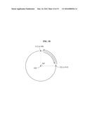 RECEIVING COIL FOR MAGNETIC RESONANCE IMAGING (MRI) APPARATUS diagram and image