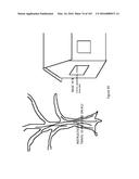 SEE-THROUGH COMPUTER DISPLAY SYSTEMS diagram and image