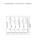 SEE-THROUGH COMPUTER DISPLAY SYSTEMS diagram and image