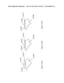 SEE-THROUGH COMPUTER DISPLAY SYSTEMS diagram and image