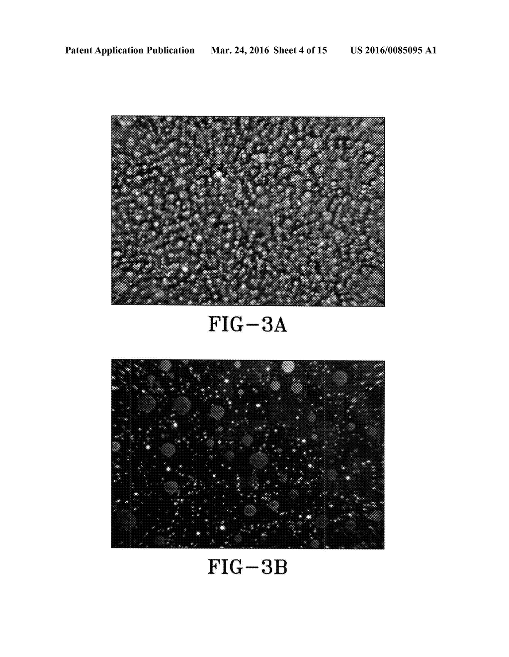 POLYMER-DISPERSED BLUE-PHASE LIQUID CRYSTAL FILMS - diagram, schematic, and image 05