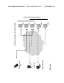 SELECTIVE ACCESS TO MEDICAL SYMPTOM TRACKING DATA USING DISPERSIVE STORAGE     AREA NETWORK (SAN) diagram and image