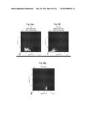 PROCESSING IMAGING DATA TO OBTAIN TISSUE TYPE INFORMATION diagram and image