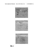 DATABASE-GUIDED METHOD FOR DETECTING A MINERAL LAYER FROM SEISMIC SURVEY     DATA diagram and image