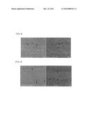 METHOD OF MANUFACTURING ANISOTROPIC HOT-DEFORMED MAGNET USING     HOT-DEFORMATION PROCESS AND HOT-DEFORMED MAGNET MANUFACTURED THEREBY diagram and image