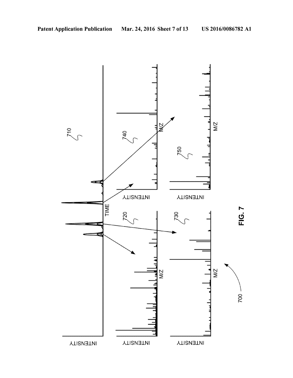 Species Detection Using Mass Spectrometry - diagram, schematic, and image 08