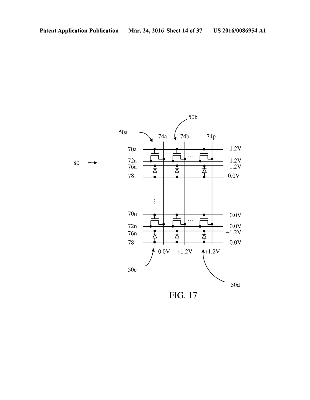 Memory Device Having Electrically Floating Body Transistor - diagram, schematic, and image 15