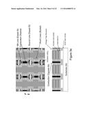 THREE-DIMENSIONAL NON-VOLATILE NOR-TYPE FLASH MEMORY diagram and image