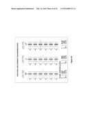 Dynamic PV Module And Method Of Manufacturing diagram and image