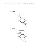 ORGANIC MOLECULAR MEMORY diagram and image