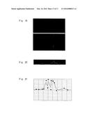 INSPECTION APPARATUS, COORDINATE DETECTION APPARATUS, COORDINATE DETECTION     METHOD, AND WAVEFRONT ABERRATION CORRECTION METHOD diagram and image