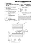 SHIM COIL DEVICE AND A MAGNETIC RESONANCE COIL SYSTEM HAVING A SHIM COIL     DEVICE diagram and image