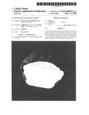 BONE PLATE LOCKING MECHANISM diagram and image