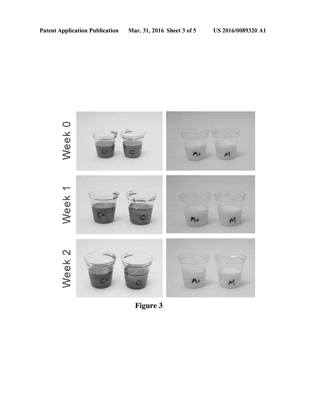 Non-Synthetic Emulsion-Based Lipid Formulations and Methods of Use - diagram, schematic, and image 04