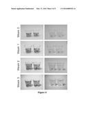 Non-Synthetic Emulsion-Based Lipid Formulations and Methods of Use diagram and image