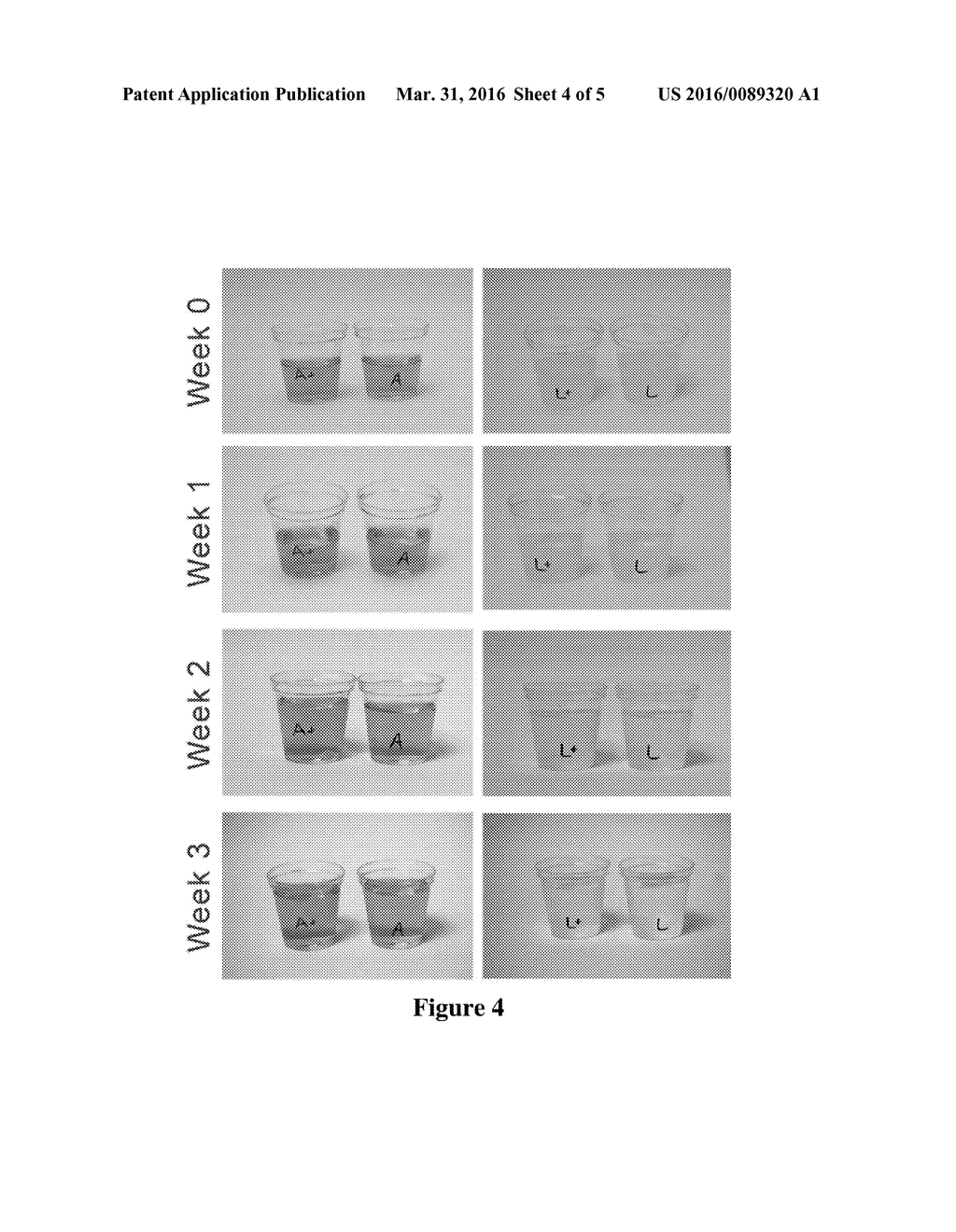 Non-Synthetic Emulsion-Based Lipid Formulations and Methods of Use - diagram, schematic, and image 05