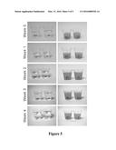 Non-Synthetic Emulsion-Based Lipid Formulations and Methods of Use diagram and image