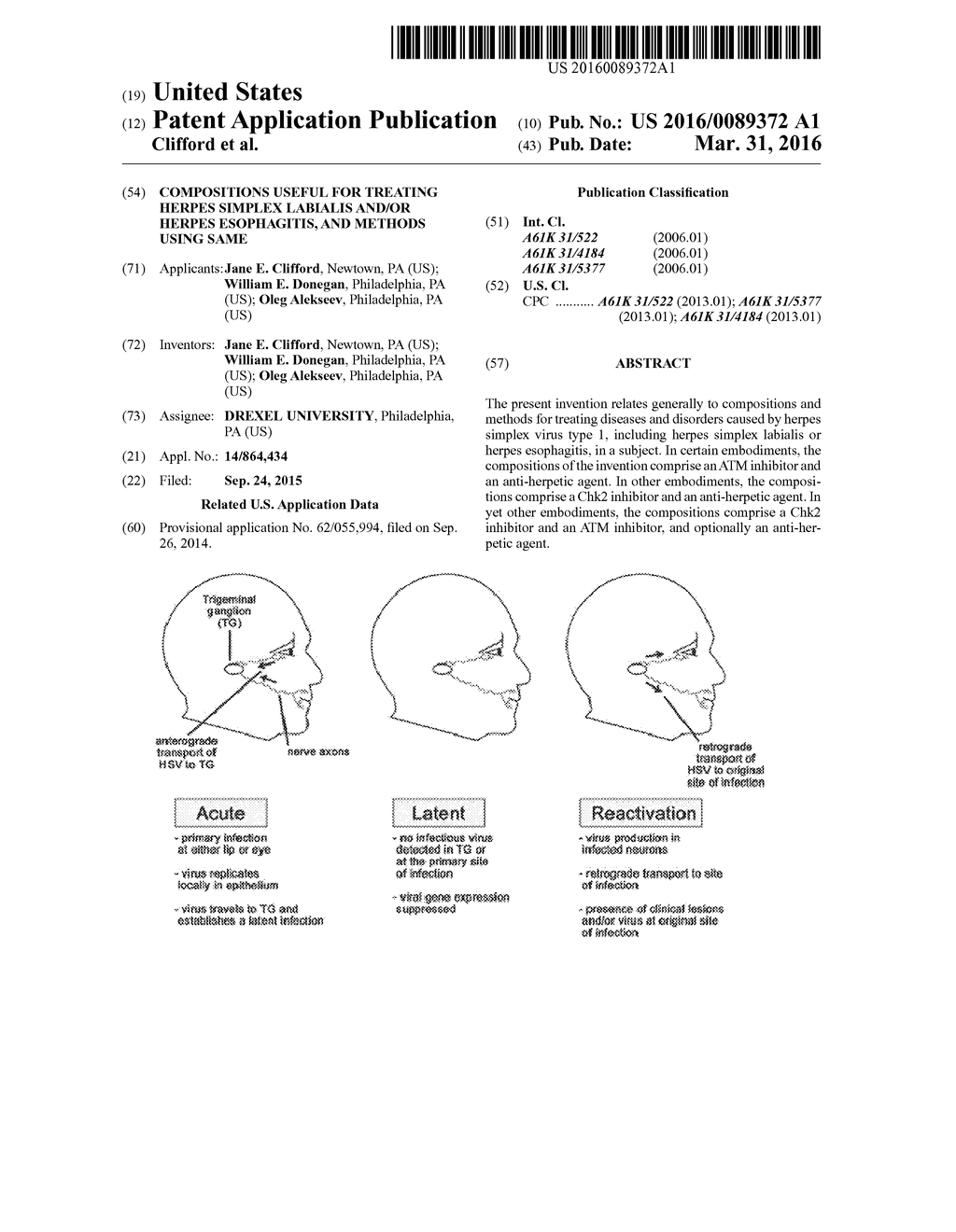 Compositions Useful for Treating Herpes Simplex Labialis and/or Herpes     Esophagitis, and Methods Using Same - diagram, schematic, and image 01