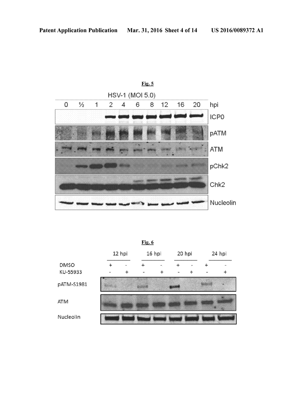 Compositions Useful for Treating Herpes Simplex Labialis and/or Herpes     Esophagitis, and Methods Using Same - diagram, schematic, and image 05